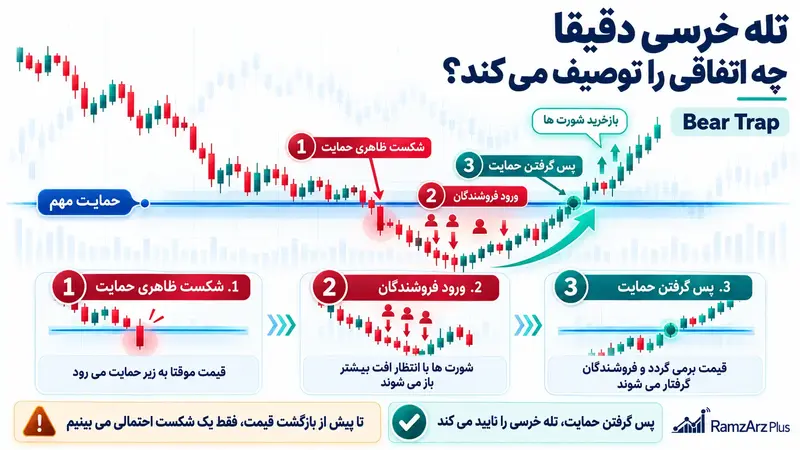 تله خرسی دقیقا چه چیزی را توصیف می کند؟